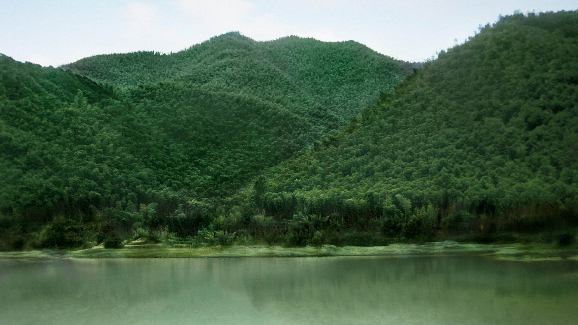 Yunnan Highland Tea Estate