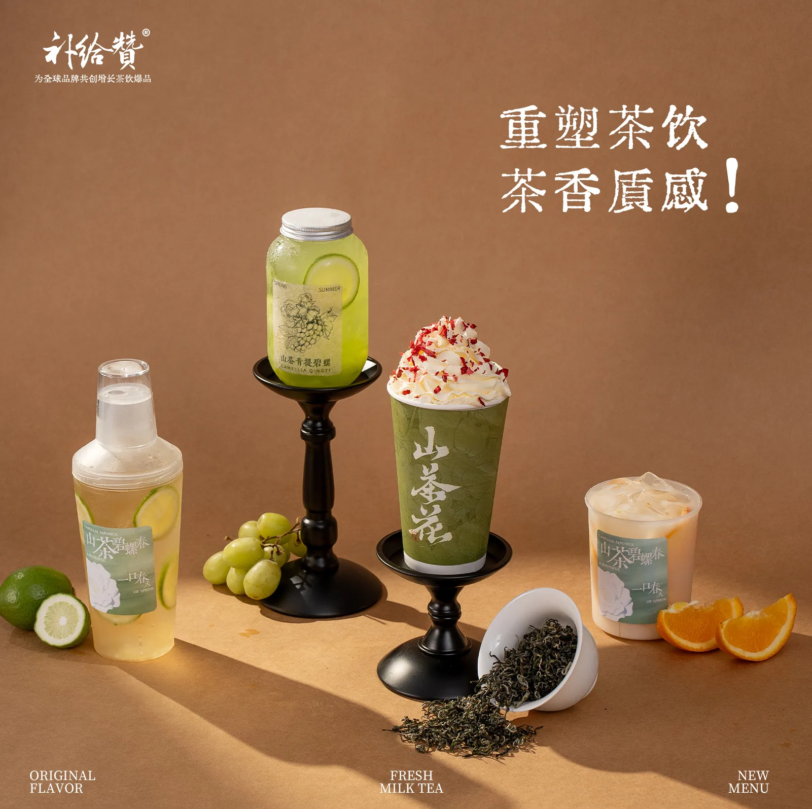 Camellia Bi Luo Chun 3