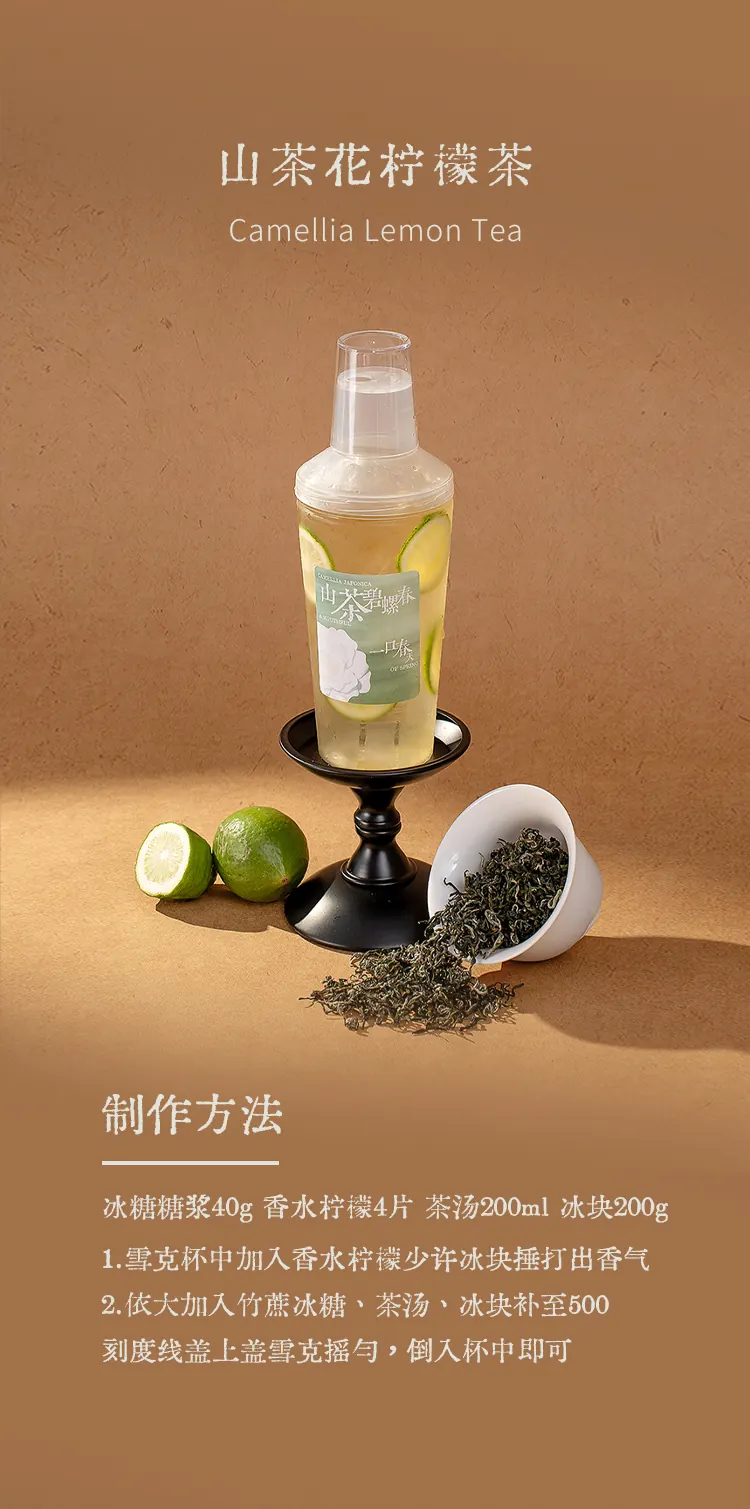 山茶花碧螺春 detail 2