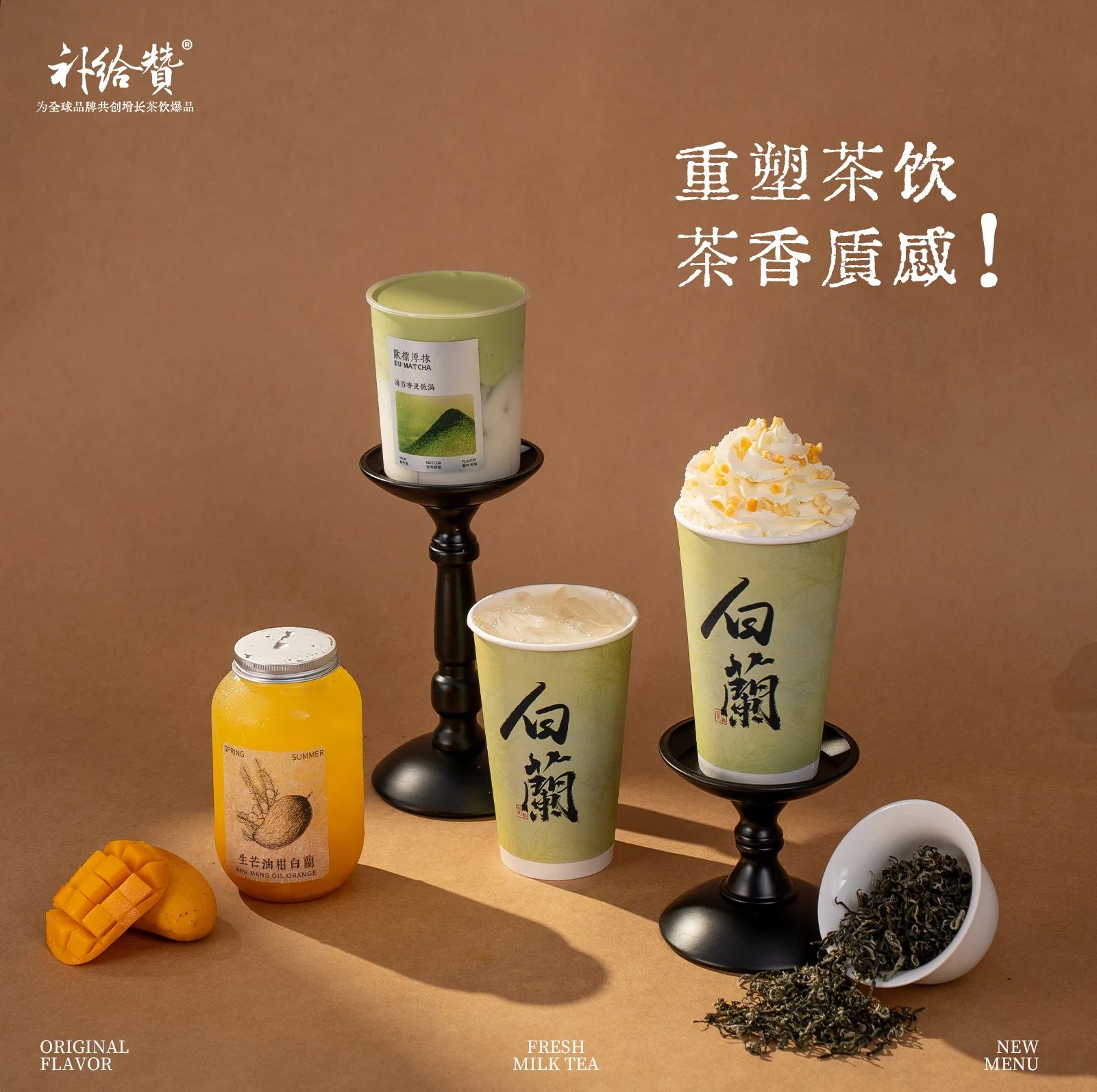 Magnolia Bi Luo Chun 3