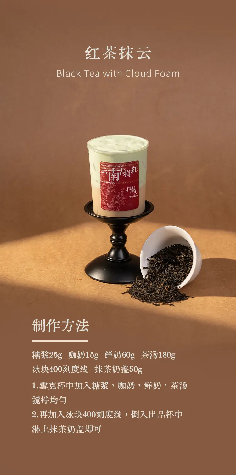 云南古树红 detail 3